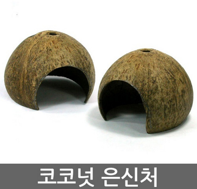 뉴런 코코넛은신처 햄스터 파충류용, 1개