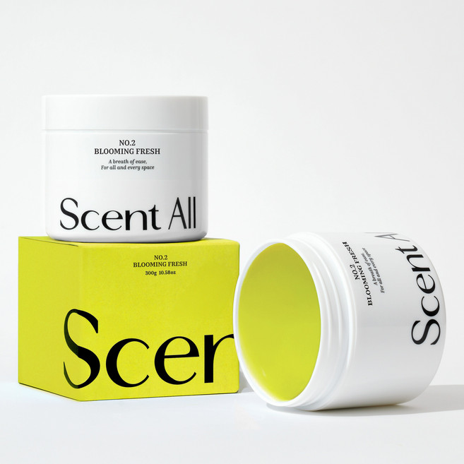 센트올 실내탈취제 블루밍프레쉬향 화장실 담배 새집증후군 실내 집안 홀애비 옷장 냄새 제거, 300g, 2개