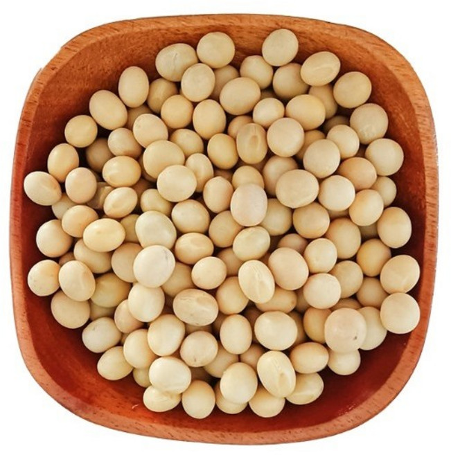 日生元 非基因改造黃豆 加拿大黃豆 600g, 1個, 黃豆