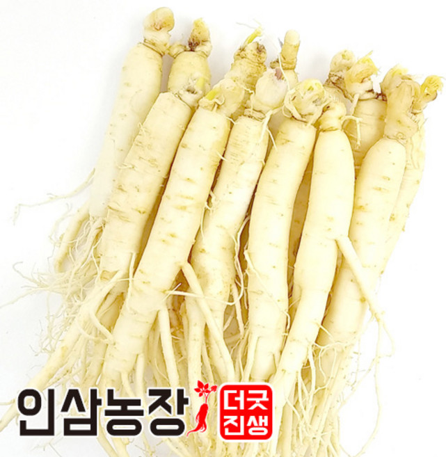 인삼 수삼 금산인삼 세척 원수삼 더굿진생, 1개, 세척인삼300g(9~12뿌리)