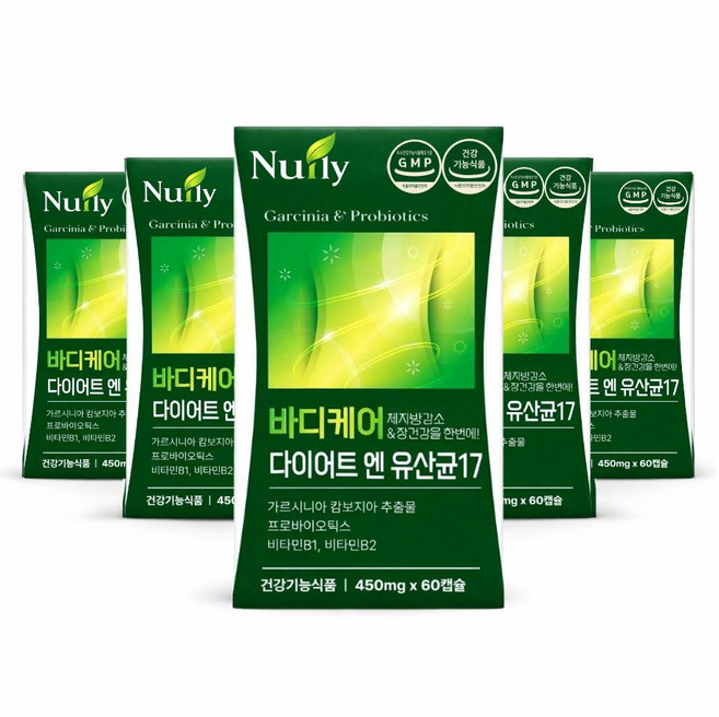bnr17 유산균 다이어트 식약청인증 비에날씬 정품 증정 (12박스구매시) / 체지방 감소 다이어트유산균 17, 6개, 60회분