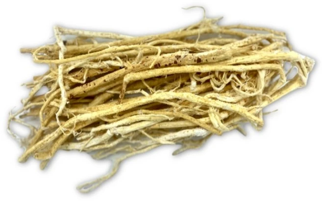 지리산 청정약초 저온건조 황기 1년근(통-국내산) 100g, 1개 - 쿠팡