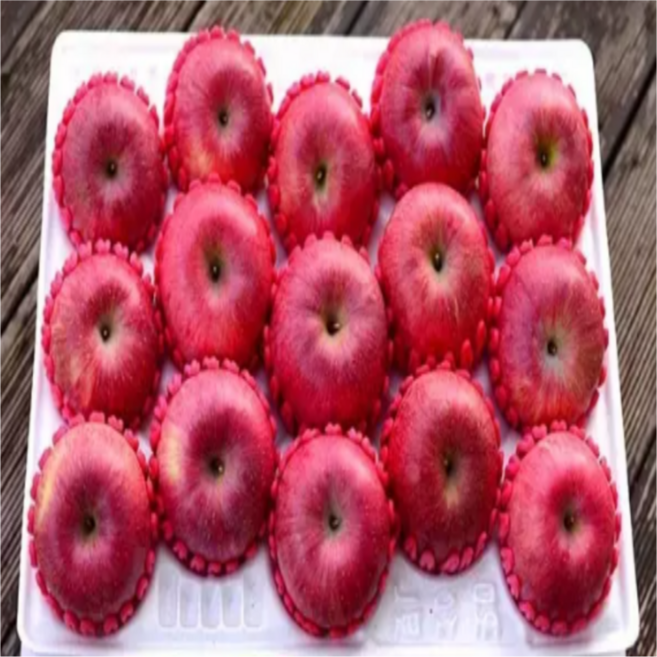 ( 고당도 사과 ) 경북 특품 사과 정품 부사 사과 (정품), 1개, 5kg 소과 (정품)