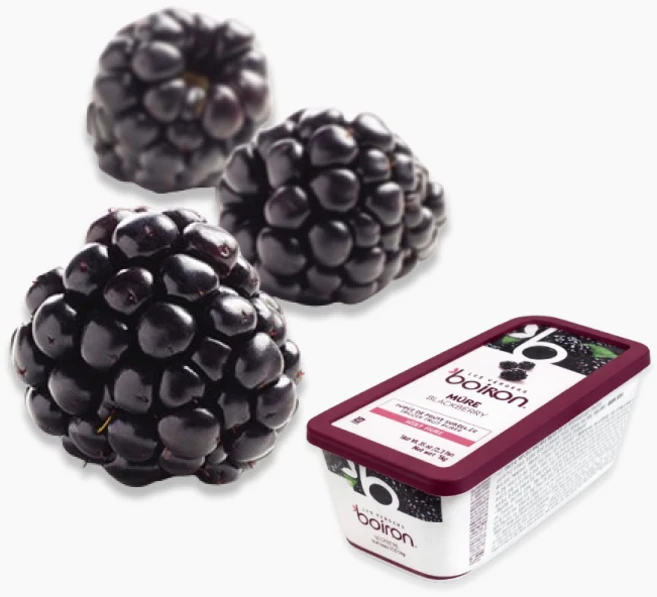 제원-브아롱 블랙베리100% 퓨레 아이스박스+드라이아이스포함, 1개, 1kg - 쿠팡
