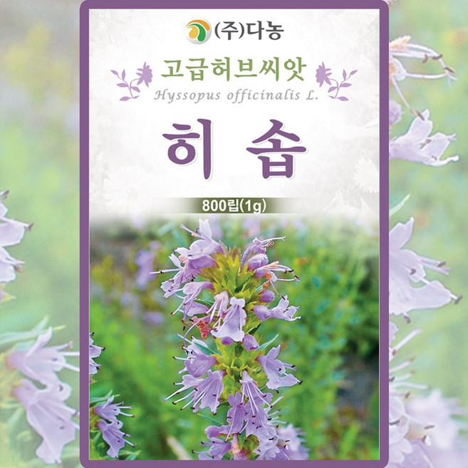 다농 히솝 씨앗 800립 박하향 히숍 꽃씨 허브 종자, 1개