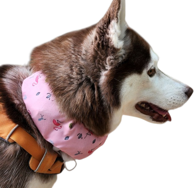 강아지 쿨 스카프 머플러 케이프 목도리 시원한 여름 애견 쿨링 대형견 소형견 중형견 반려견 옷 아이스팩 파우치, L, 핑크, 1개