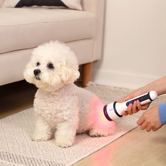 울트라웨이브 강아지 디스크 슬개골 관절염 동물의료기기, 1개, 레이펫 프로