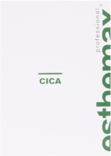 에스테맥스 시카 시트마스크 683-100, 100개입, 1개