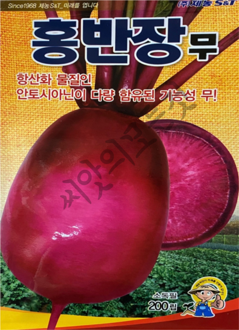 농사친구 홍반장 무 빨간무 200립 씨앗 제농 씨 종자 김장 쪽파 고사리 항암 배추, 1개