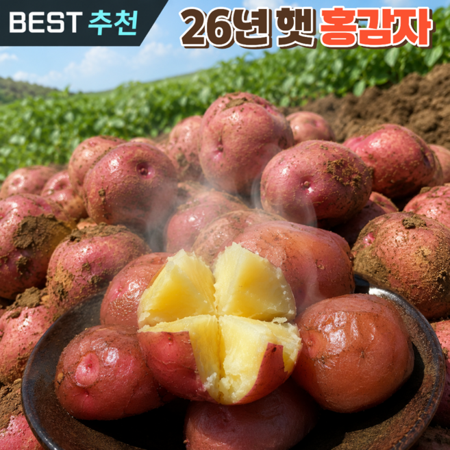 [시즌특가] 인스타대란 남해 카스테라 햇 홍감자, 1박스, 대 3kg