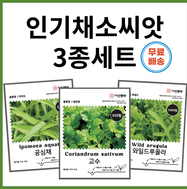 인기채소씨앗 3종 고수 루꼴라 공심채 씨앗 채소씨앗 동남아 이태리 태국 향채소 씨, 1개