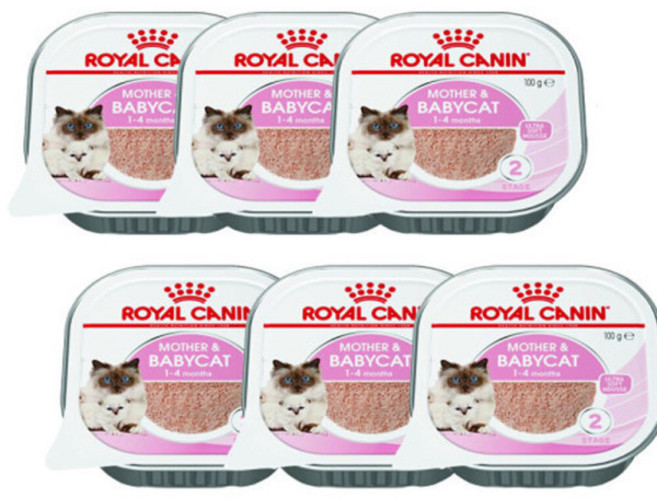 로얄캐닌 캣 습식사료 고양이 습식사료 소프트무스 트레이(100g) 캔X6개, 100g, 6개, 닭