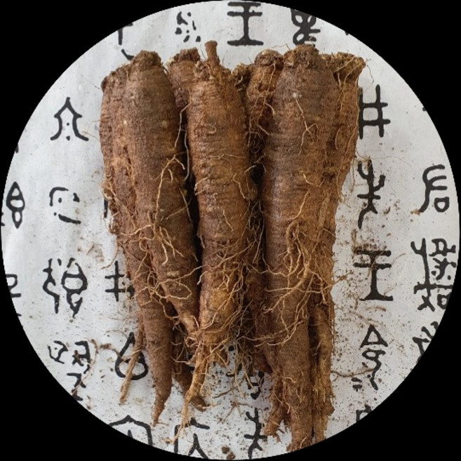 청청청 횡성더덕농가 GAP(우수농산물)왕특1kg, 1개