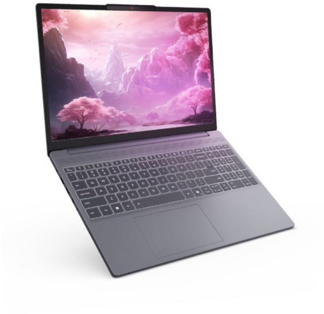 (레노버) 아이디어패드 Slim3 16IRH10R Pro 83K5000UKR (Core 5 210H/8GB/256GB/OLED/DOS) (1TB SSD 교체), Free DOS, 8GB, 1TB, 그레이