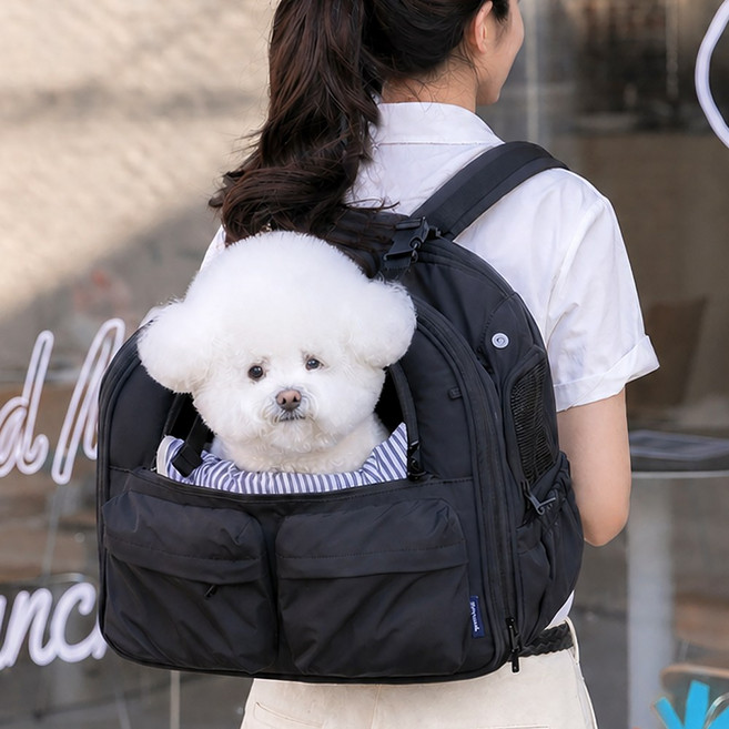 펫츠랜드 몽드 강아지 고양이 백팩 이동가방 캐리어 +이너쿠션 세트, 블랙 M + 이너쿠션세트, 1개
