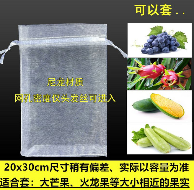 샤인머스킷 포도재배 봉지 방충 포도 무화과 딸기 복숭아 보호 망사 20매 50매, 1개