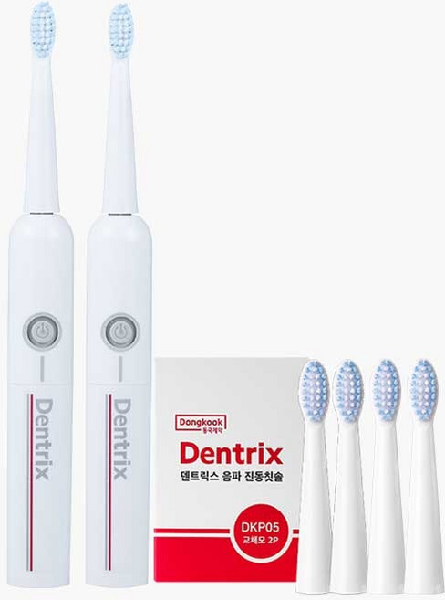 동국제약 덴트릭스 음파 전동 칫솔(시즌2)+교체모2p, 2개