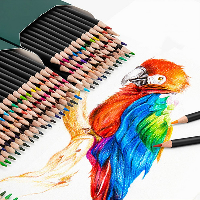전문가용 색연필 초보자 미술 회화용 유성 색연필 세트, 1개, 48색