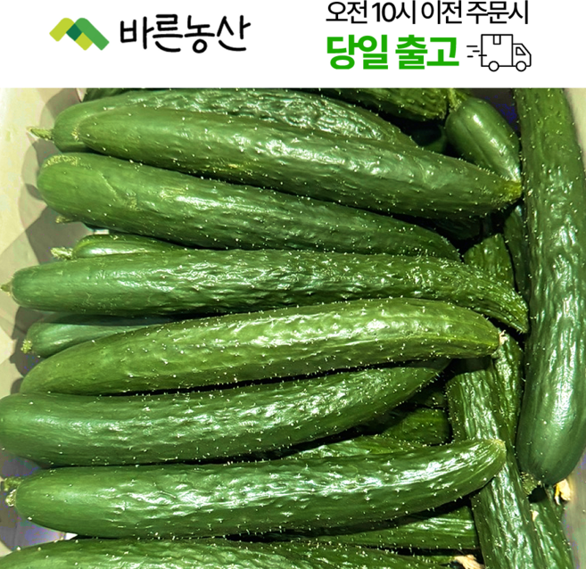 < 바른농산 > 국내산 오이 가시오이 청오이 못난이상품, 1개, 10kg, 가시오이 10kg