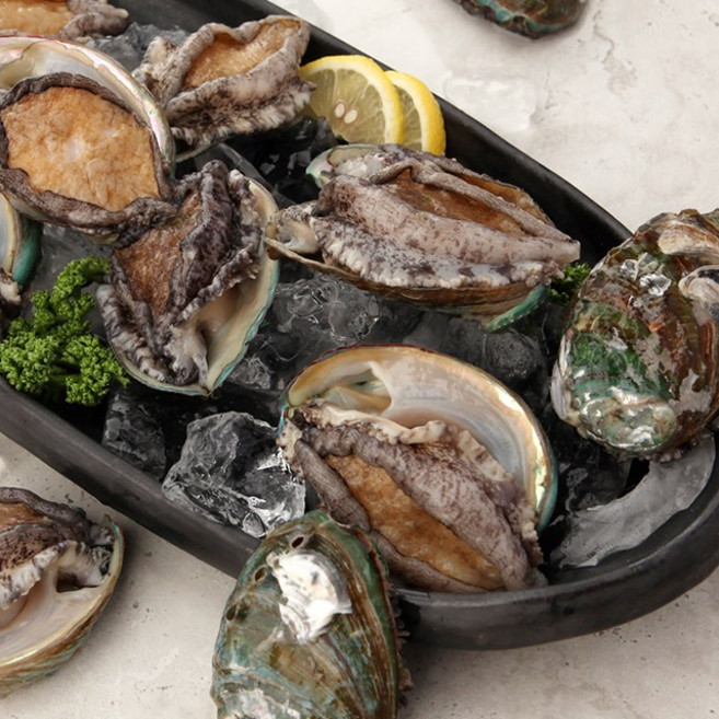 [오초록] 완도직송 완도 활 전복(대) 1kg(16~18미) / 해수 산소포장, 1개