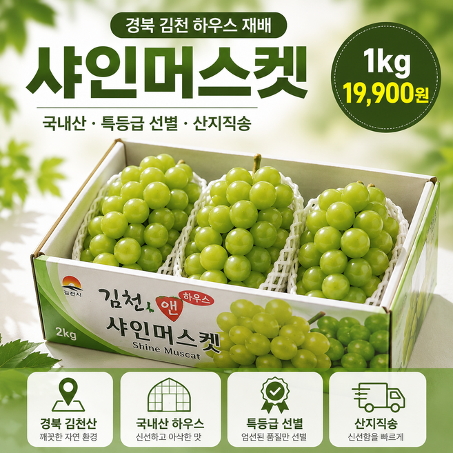 [당일출고] 국내산 하우스 샤인머스캣 특등급 프리미엄 에어팩 포장 500g 1kg 2kg, 1박스, 국내산 하우스 샤인머스캣 특등급 500g