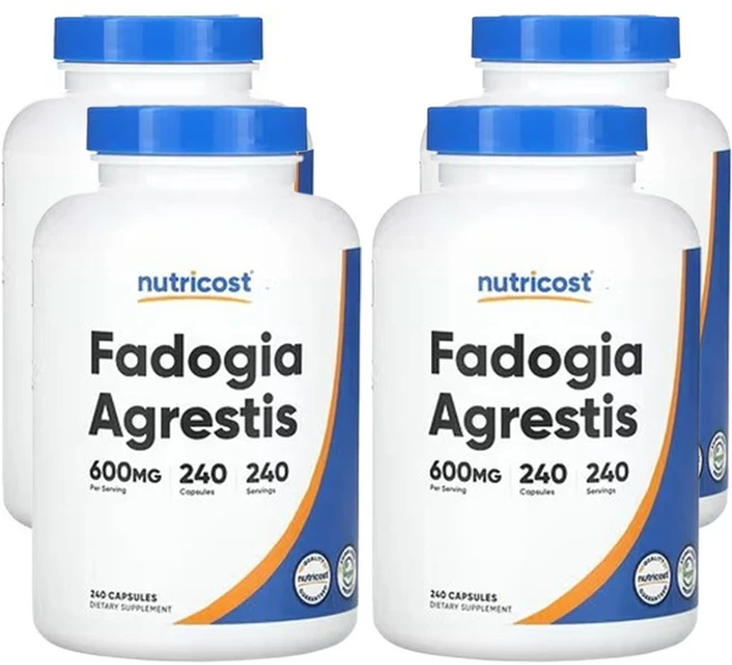 뉴트리코스트 파도기아 아그레티스 600mg 240캡슐, 4개, 240정 - 쿠팡