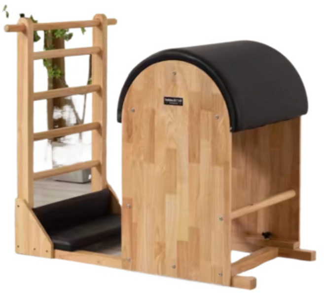 아크 레더 바렐 전신운동 홈필라테스 대기구 소도구, 화이트, 1개