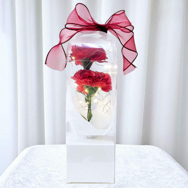 더연 LED 조화 카네이션 꽃다발 졸업식 어버이날 스승의날 선물, 1개, 레드