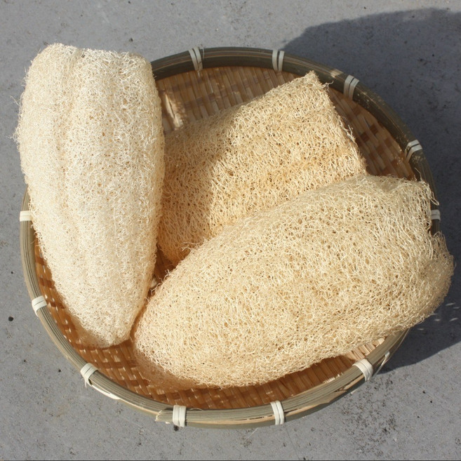 국내산 천연수세미 5개 - 잘만든 10~15cm 친환경수세미, 1세트