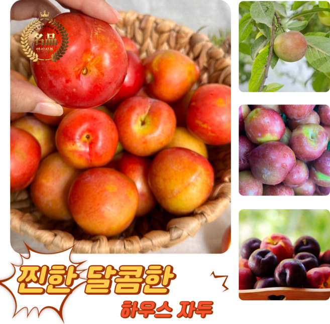 [굿피플] 고당도 달콤새콤 햇자두 하우스자두 자두, 1박스, 하우스 자두 900g 15-20과