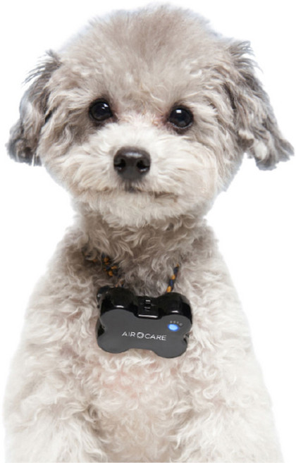 에어케어 가성비 좋은 반려동물 외출 산책 휴대용 유모차 목걸이 부착형 공기 청정기, 화이트