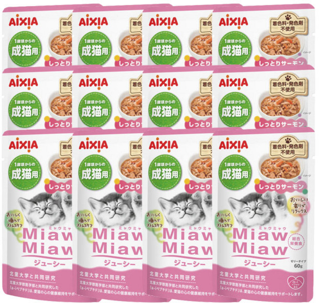 아이시아 먀우먀우 쥬시 (촉촉한 연어 MJ-10) 60g x 12개