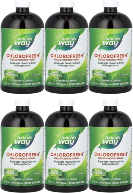 Nature's Way 네이처스웨이 Chlorofresh 액상 엽록소 무맛 480ml(16fl oz), 480ml, 6개 - 쿠팡