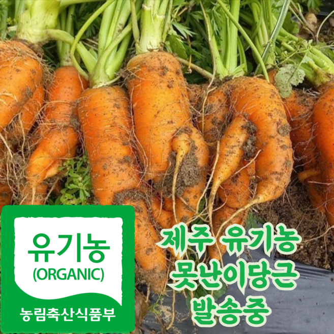 제주 유기농 못난이 당근 주스용, 1박스, 5kg
