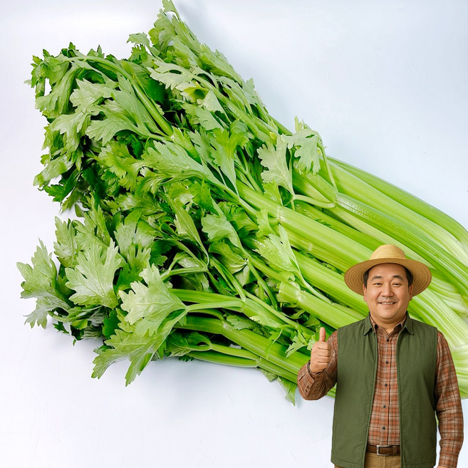 노씨고집 유기농 인증국내산 광양 특품 샐러리, 1개, 2kg