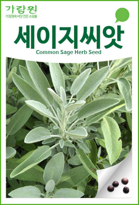 세이지 씨앗 허브씨앗 허브씨 향신료 종자 씨 50알, 1개