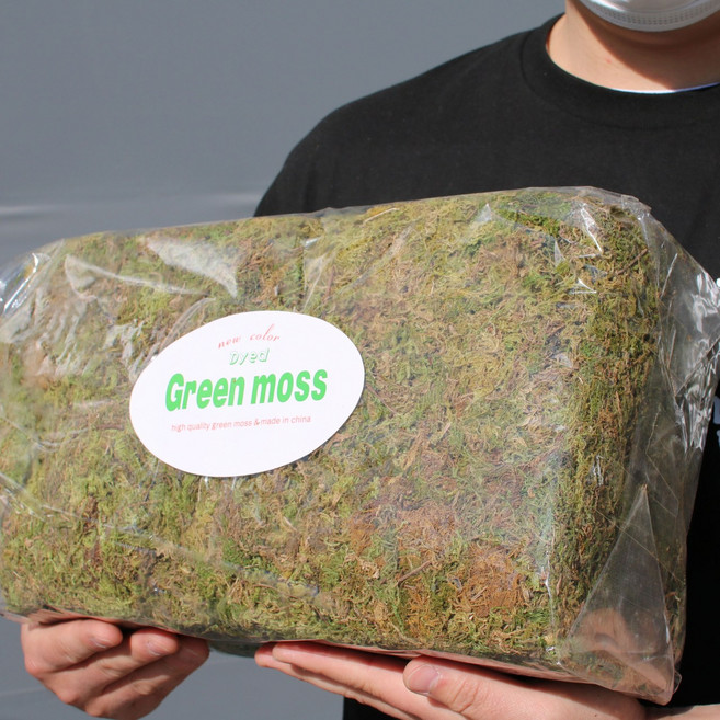 천연 이끼 800g 건조 자연 이끼 인삼 포장 테라리움 비바리움, 천연이끼, 1개