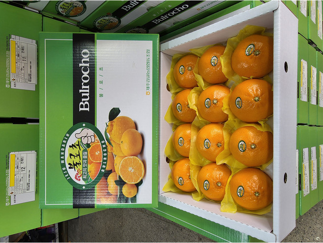 [달콤프릇] 제주 프리미엄 불로초 천혜향 선물용/ 가정용/ 3kg 4.5kg 9kg, 1박스, 불로초 천혜향 3kg 선물용(10~16과)