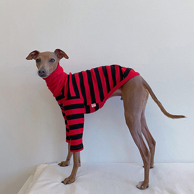 도기스타 아이쥐옷 이탈리안그레이하운드옷 배색 단가라티, 레드/블랙, 1개