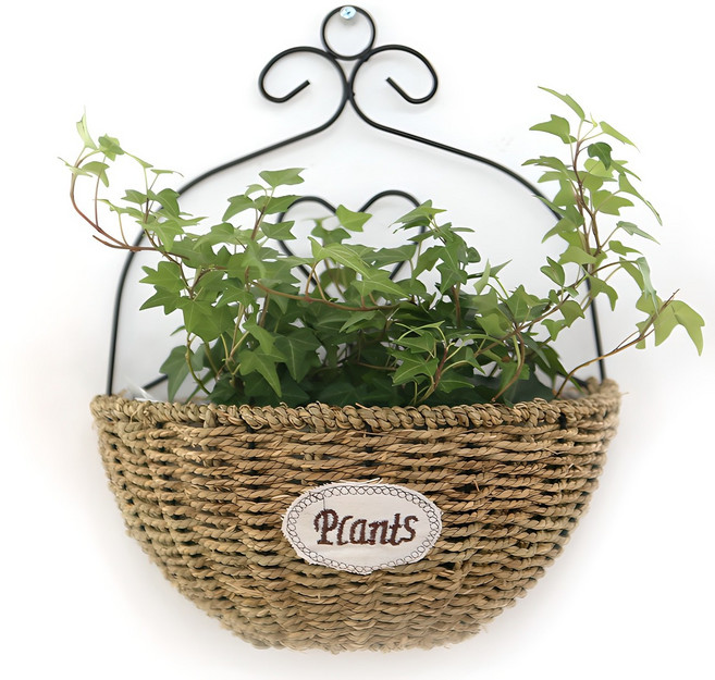 내일의공간 라탄 벽걸이 화분, 혼합색상, 1개