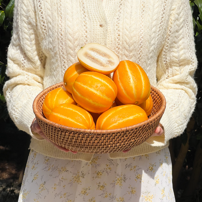 [당일수확] 유기농 무농약 친환경 고당도 성주 꿀 참외, 1박스, 3kg(7-15과)