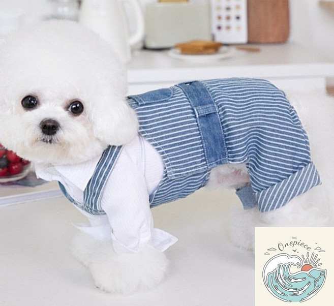 밀짚모자 상단 청 스트라이프 멜빵 바지 강아지멜빵치마 애견옷 강아지외출복, XS