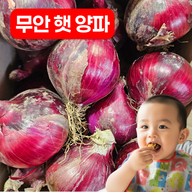 [농장직송] 무안 햇적양파 자색양파 국산, 1박스, 5kg (중대)