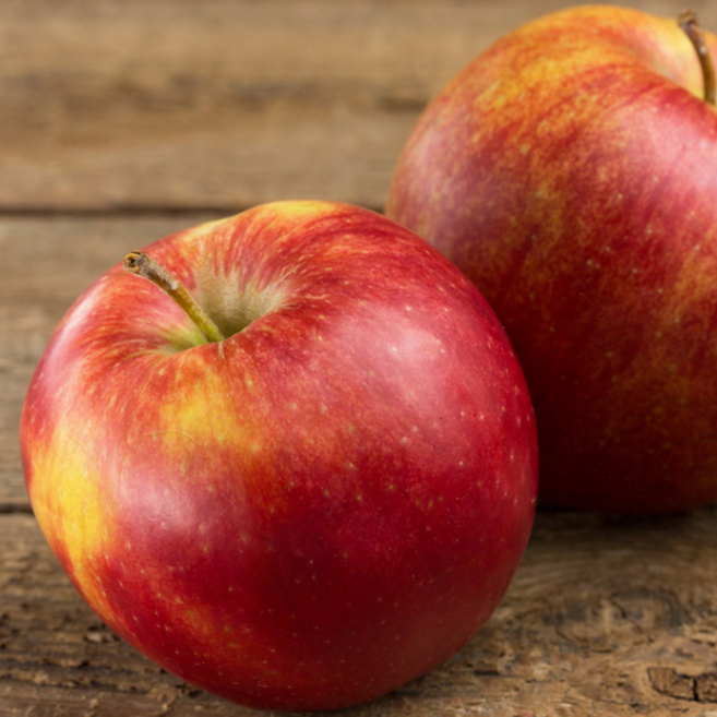 [꿀사과대전]초특가 꿀이가득 가정용 꿀 사과, 1박스, 3kg