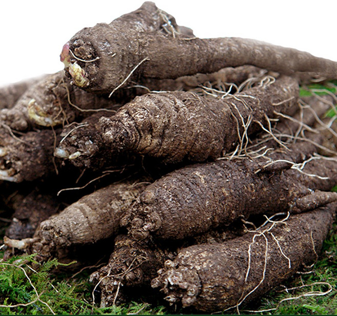 후금이네 국산 100% 향이진한 참 더덕, 1개, 더덕 상 1kg