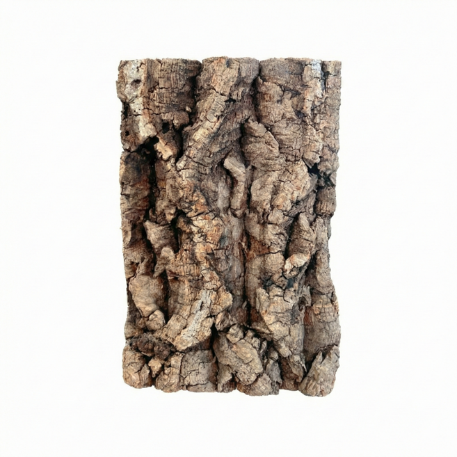 코르크보드 굴피껍질 다양한 사이즈, 10cm, 1개, 갈색