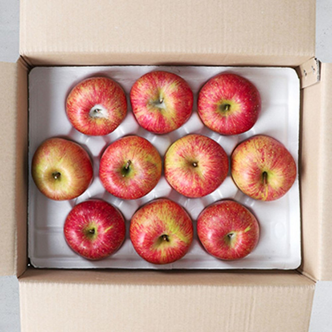 [초특가]껍질째먹는 고당도 경북 달콤한 빨간 꿀사과, 1박스, 2kg