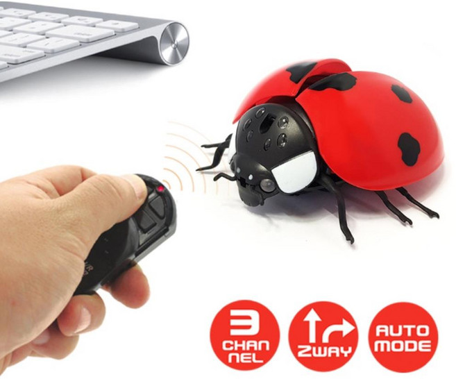 4살 리모콘작동 무당벌레 움직이는장난감 호기심완구 리모컨장난감 집중력up 조카선물, 1개