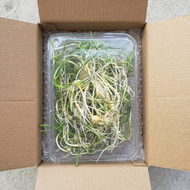 우연팜 국내산 경남 손질세척 달래, 2세트, 125g