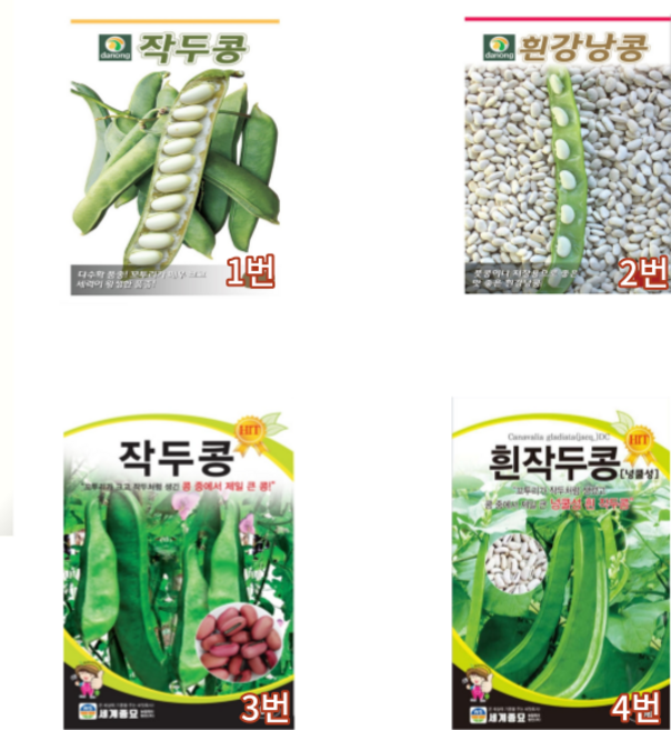 작두콩 호랑이콩 땅콩31종 다양한 씨앗 종자, 27)땅콩호박 다농, 1개